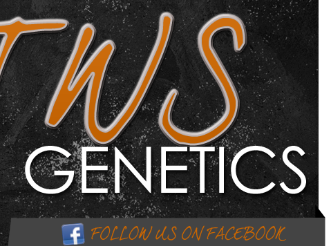TWS Genetics